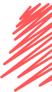 demo-attachment-348-Vector-1
